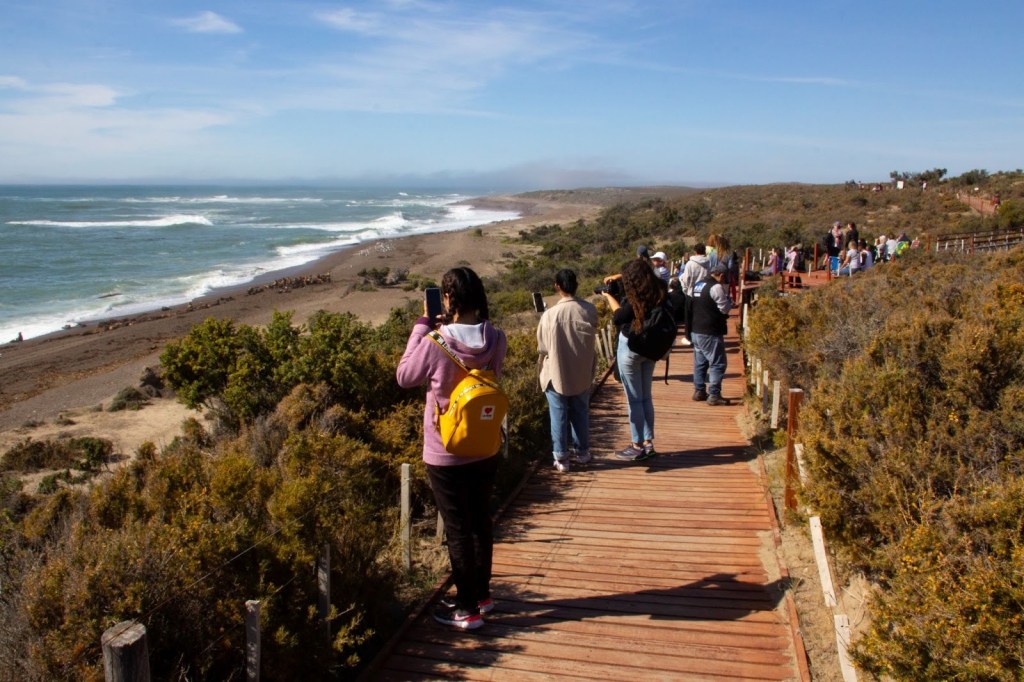 CHUBUT CELEBRÓ EL INICIO DE LA TEMPORADA DE ORCAS 2025 CON ACTIVIDADES EDUCATIVAS Y DE&nbsp;DIFUSIÓN.