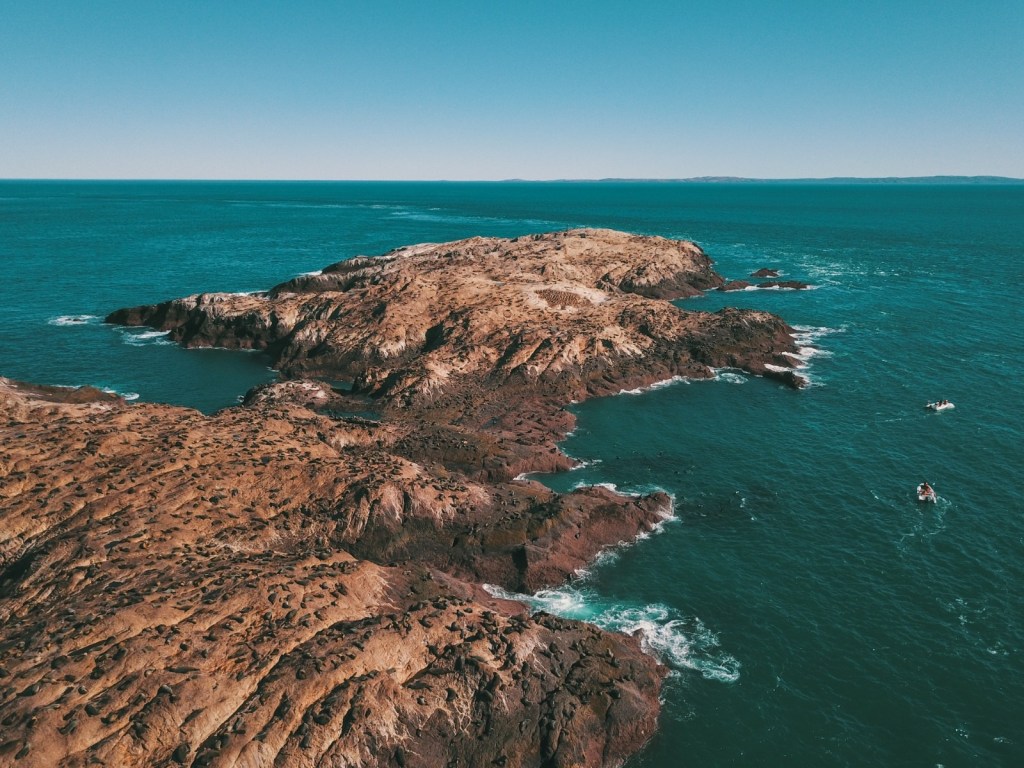 CHUBUT CREA UN NUEVO PARQUE PROVINCIAL PARA FORTALECER LA CONSERVACIÓN&nbsp;MARINA.