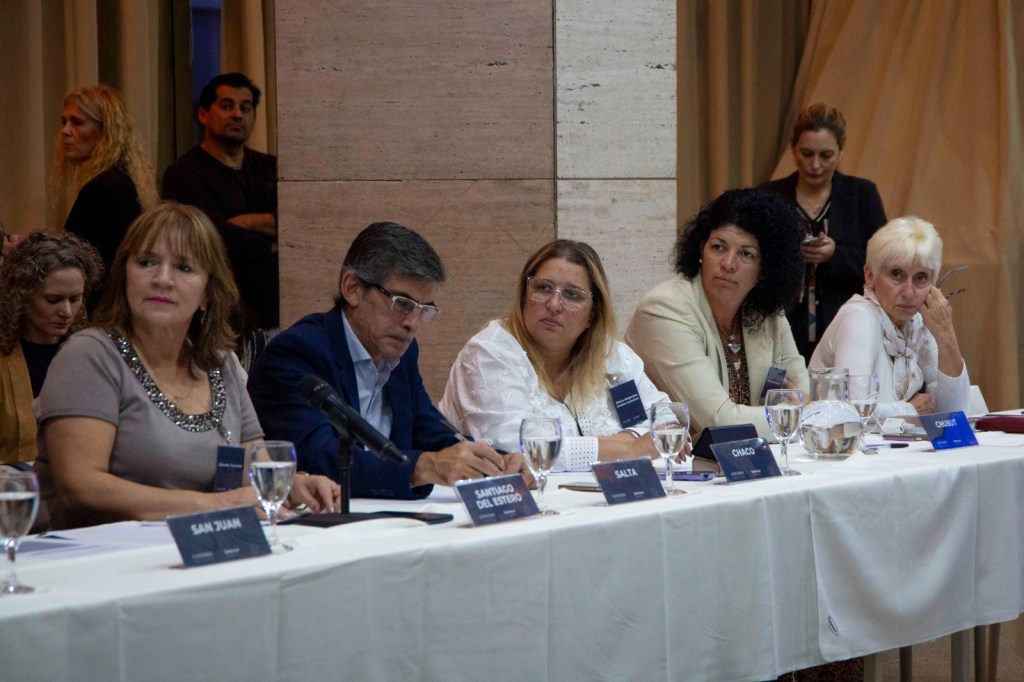 CHUBUT PARTICIPÓ DE LA PRIMERA REUNIÓN DEL AÑO DEL&nbsp;COFEDRO.