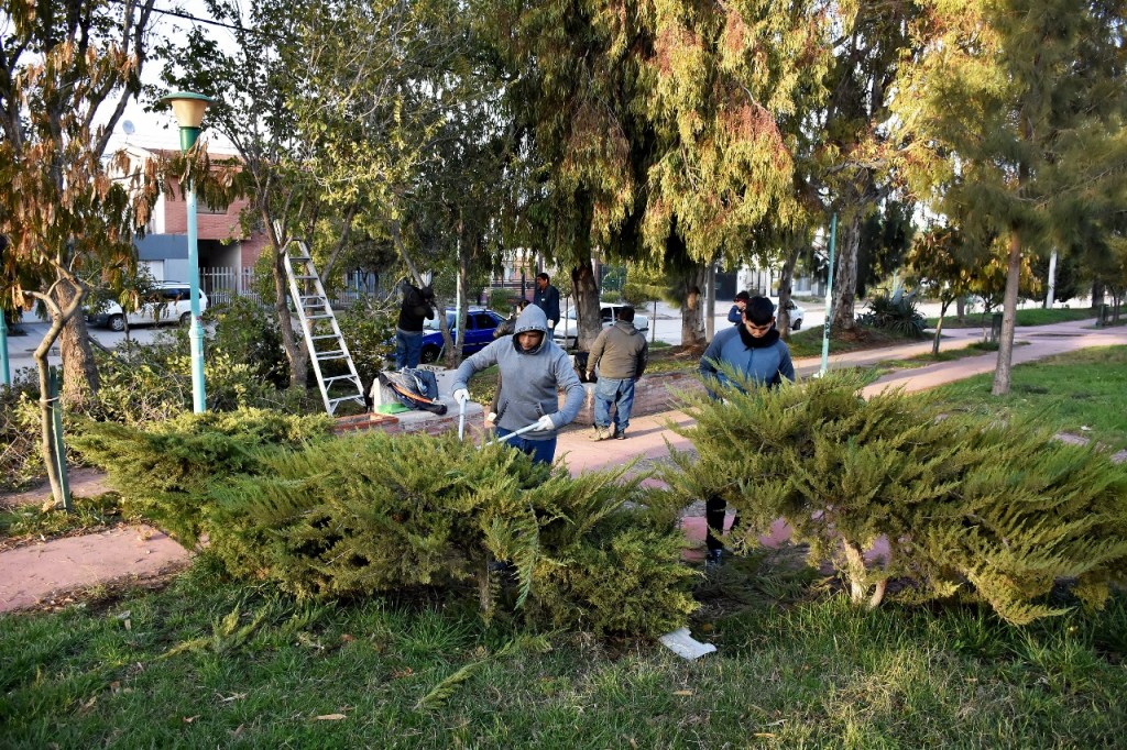 EL MUNICIPIO REALIZA TAREAS DE PODA DE ARBOLADO&nbsp;URBANO.
