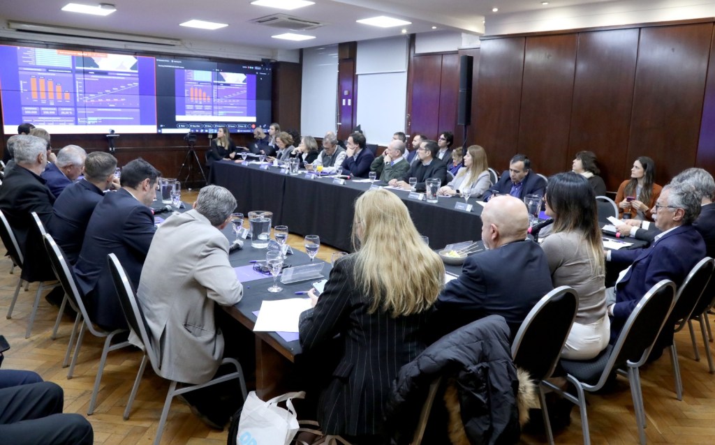 CHUBUT PARTICIPÓ DE UNA NUEVA REUNIÓN DEL CONSEJO FEDERAL DE&nbsp;SALUD.