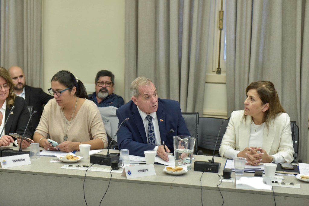CHUBUT PARTICIPÓ DE LA 141° ASAMBLEA DEL CONSEJO FEDERAL DE&nbsp;EDUCACIÓN.