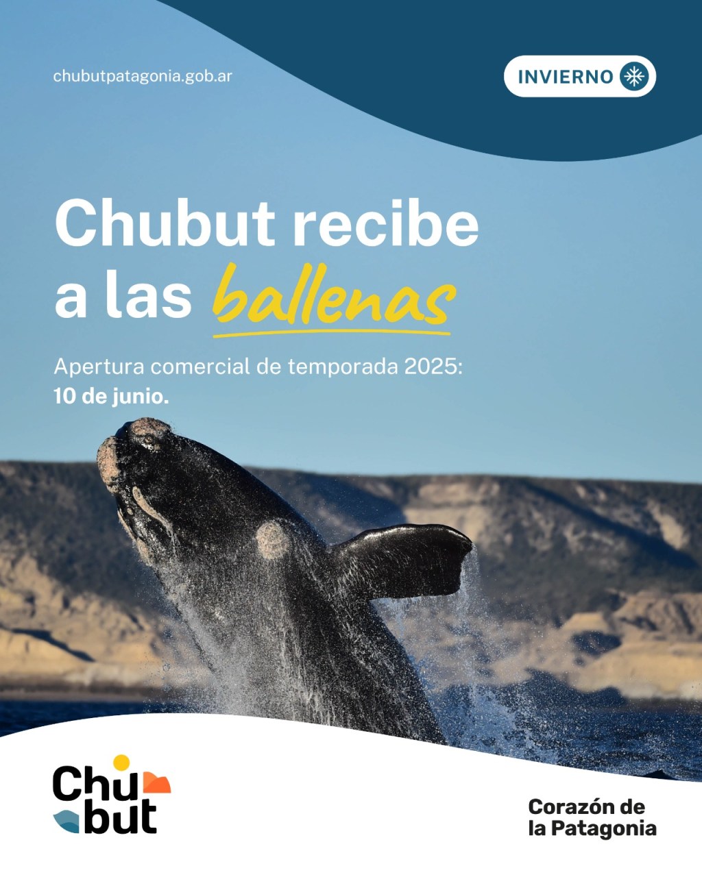 CHUBUT | UNA NUEVA TEMPORADA DE BALLENAS CON PROMOCIONES PARA&nbsp;RESIDENTES.