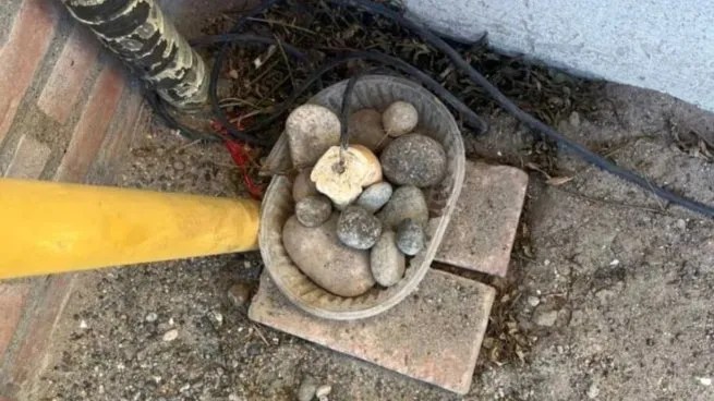 INVESTIGAN A UNA MUJER DE PLAYA UNIÓN POR PRESUNTA CRUELDAD&nbsp;ANIMAL.