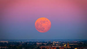 LUNA LLENA DE JUNIO 2025: CUÁNDO ES, A QUÉ HORA Y CÓMO VER LA LUNA DE&nbsp;FRESA