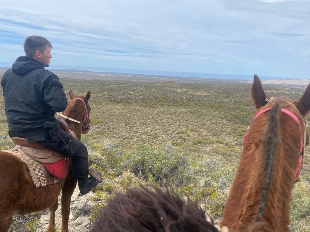 PROVINCIA SIGUE CON LA BÚSQUEDA DE LA PAREJA DESAPARECIDA CERCA DE COMODORO&nbsp;RIVADAVIA