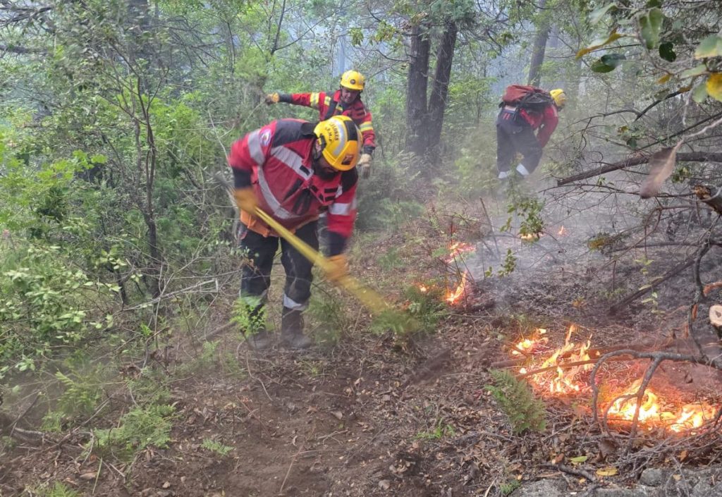 CONTENIDO DEL INCENDIO FORESTAL EN EL PEDREGOSO TRAS TRES DÍAS DE&nbsp;OPERATIVO