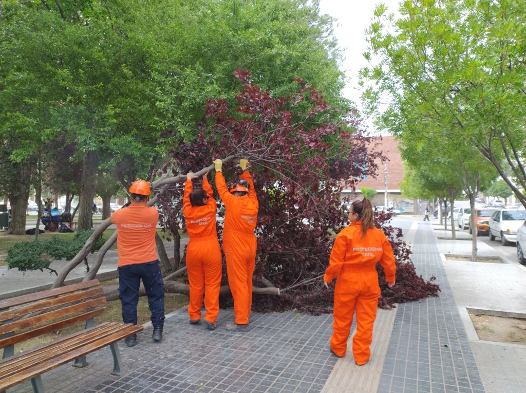 EL MUNICIPIO COORDINÓ OPERATIVO POR FUERTES VIENTOS EN TODA LA&nbsp;CIUDAD