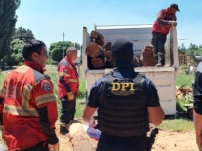 DESARTICULARON UNA RED DE ACTIVIDAD FORESTAL ILEGAL EN LA COMARCA&nbsp;ANDINA