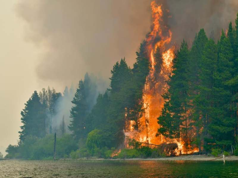 GRAN DESPLIEGUE DE COMBATIENTES Y MEDIOS AÉREOS PARA CONTROLAR EL INCENDIO FORESTAL EN PUERTO&nbsp;PATRIADA