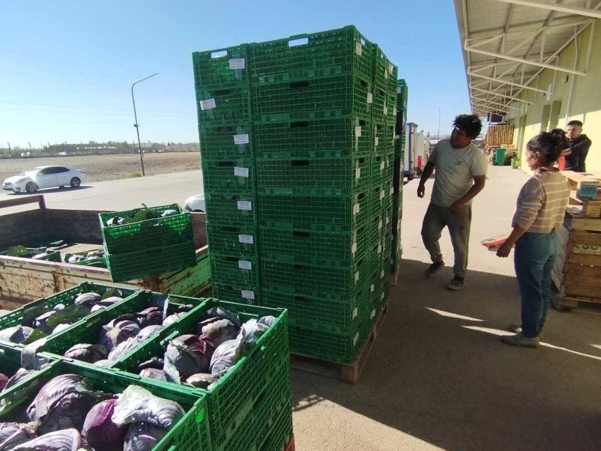 PROVINCIA AVANZA EN LA APERTURA DE NUEVOS MERCADOS PARA PRODUCTORES DEL VALLE INFERIOR DEL RÍO&nbsp;CHUBUT