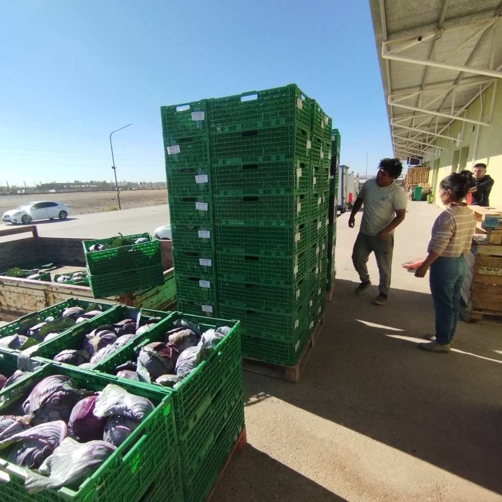 PROVINCIA AVANZA EN LA APERTURA DE NUEVOS MERCADOS PARA PRODUCTORES DEL VALLE INFERIOR DEL RÍO&nbsp;CHUBUT