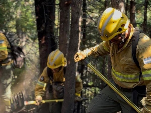 TRAS UN RECLAMO CONJUNTO DE TORRES Y GOBERNADORES PATAGÓNICOS, NACIÓN ACORDÓ DECLARAR LA EMERGENCIA&nbsp;ÍGNEA