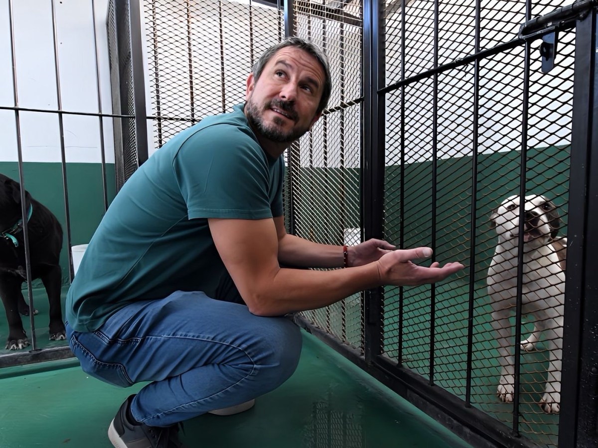 TRELEW: ZOONOSIS ALCANZÓ MÁS DE 190 ADOPCIONES&nbsp;RESPONSABLES