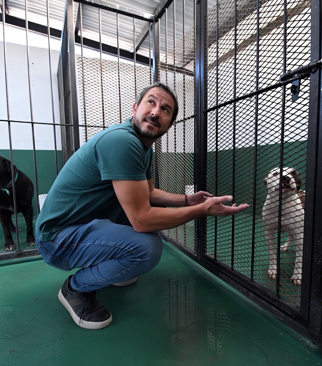 TRELEW: ZOONOSIS ALCANZÓ MÁS DE 190 ADOPCIONES&nbsp;RESPONSABLES