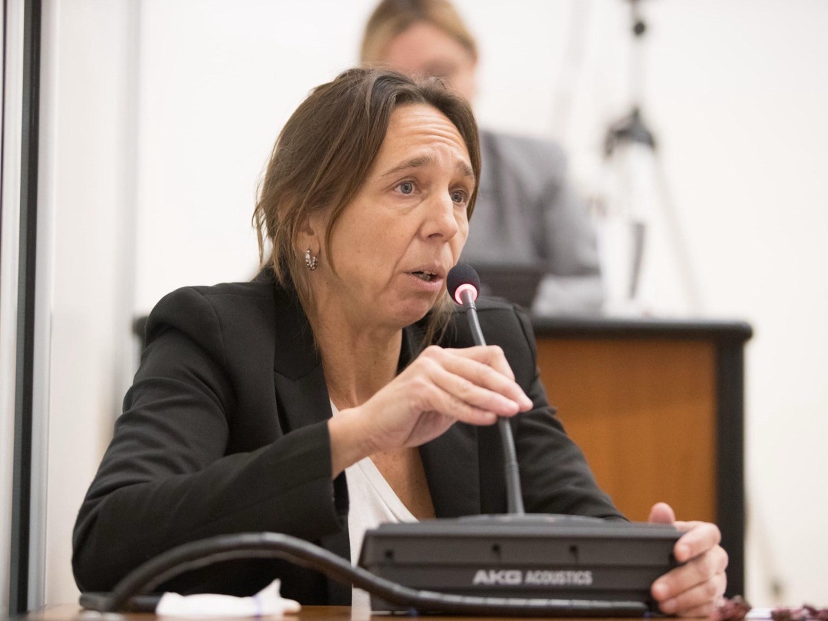 FERREIRA, DURÍSIMA CON OSTOICH: “ES UN CARADURA, PARTE DE UN EJECUTIVO QUE DEMUESTRA A DIARIO SU IRRESPONSABILIDAD”