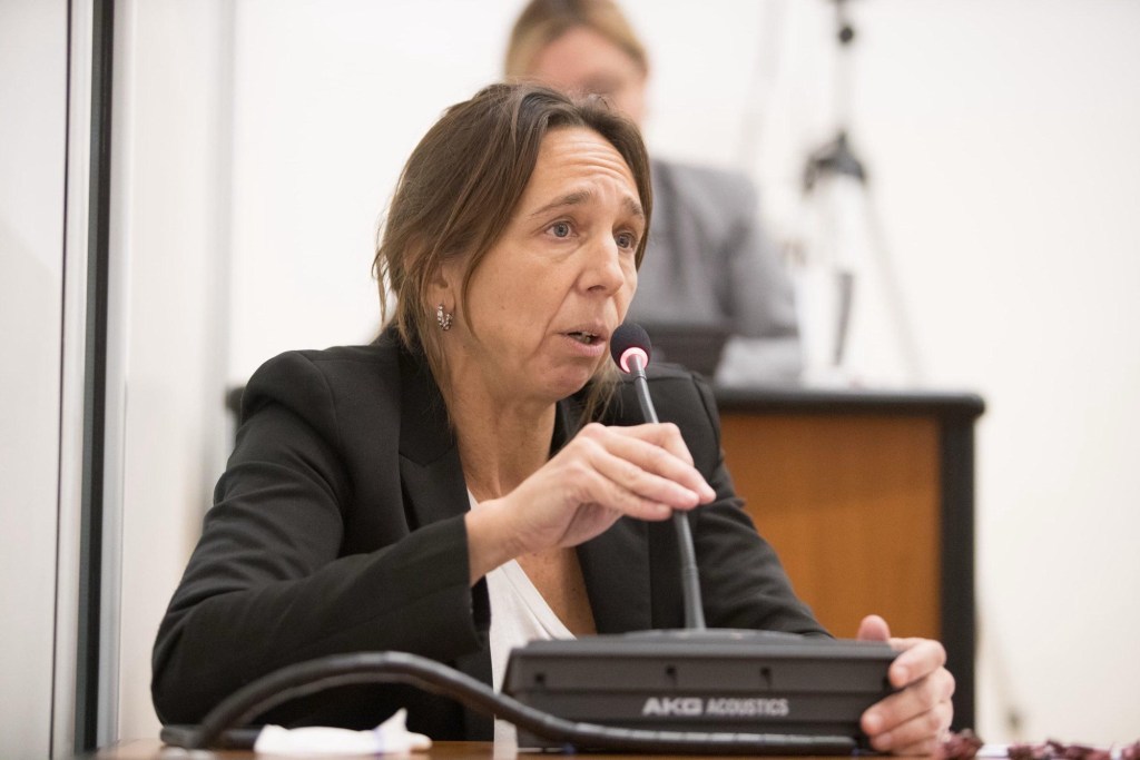 FERREIRA, DURÍSIMA CON OSTOICH: “ES UN CARADURA, PARTE DE UN EJECUTIVO QUE DEMUESTRA A DIARIO SU IRRESPONSABILIDAD”