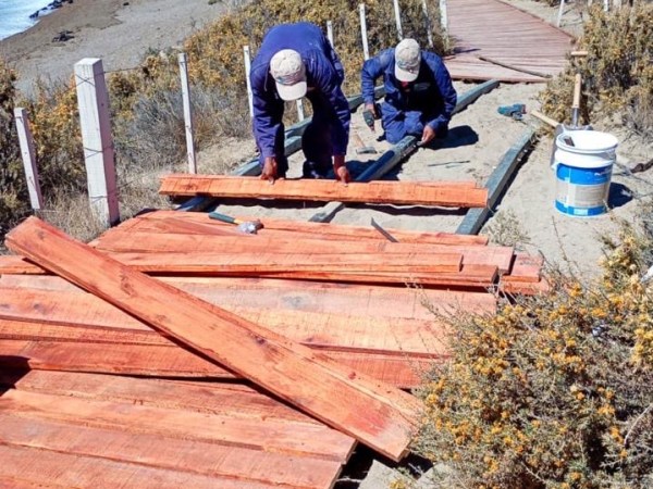 EL ÁREA NATURAL PROTEGIDA PENÍNSULA VALDÉS SE PREPARA PARA LA NUEVA TEMPORADA DE&nbsp;ORCAS