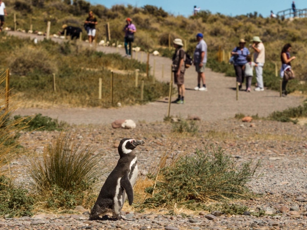 GRAN MOVIMIENTO TURÍSTICO EN CHUBUT DURANTE EL FIN DE SEMANA&nbsp;LARGO