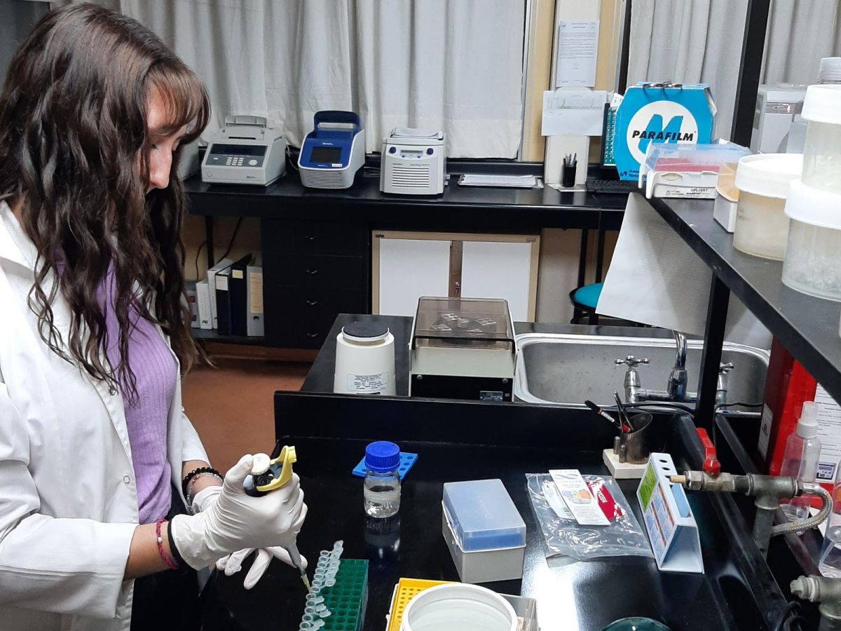 CHUBUT IMPULSA INVESTIGACIÓN SOBRE ESPECIE INVASORA EN LA COSTA&nbsp;PATAGÓNICA