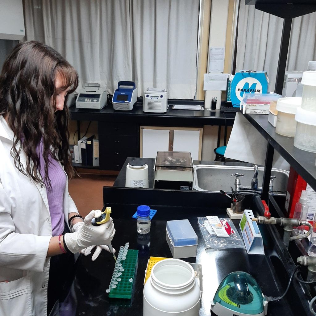 CHUBUT IMPULSA INVESTIGACIÓN SOBRE ESPECIE INVASORA EN LA COSTA&nbsp;PATAGÓNICA