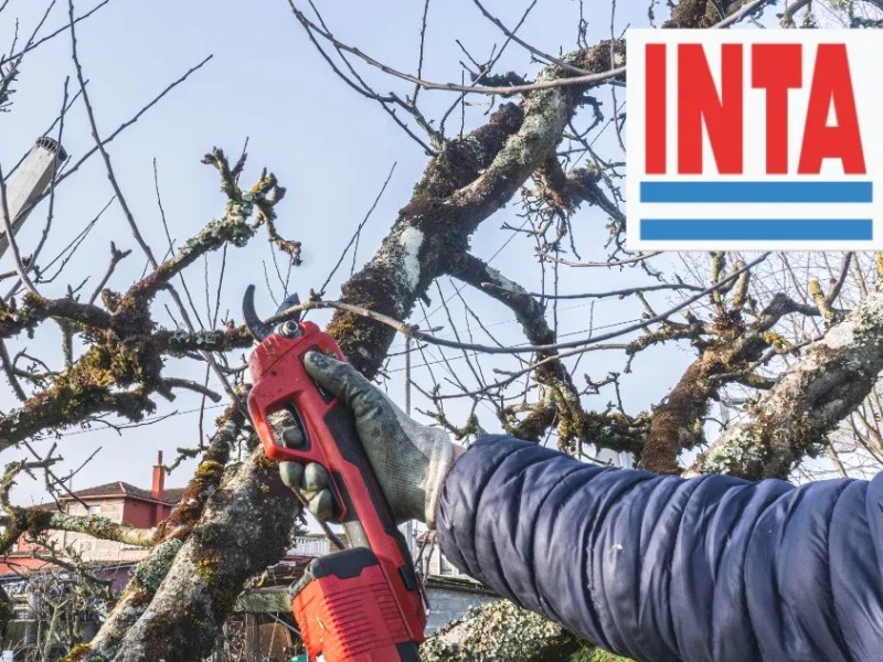 TRELEW ABRE INSCRIPCIONES PARA UN TALLER DE PODA DE ARBOLADO&nbsp;URBANO