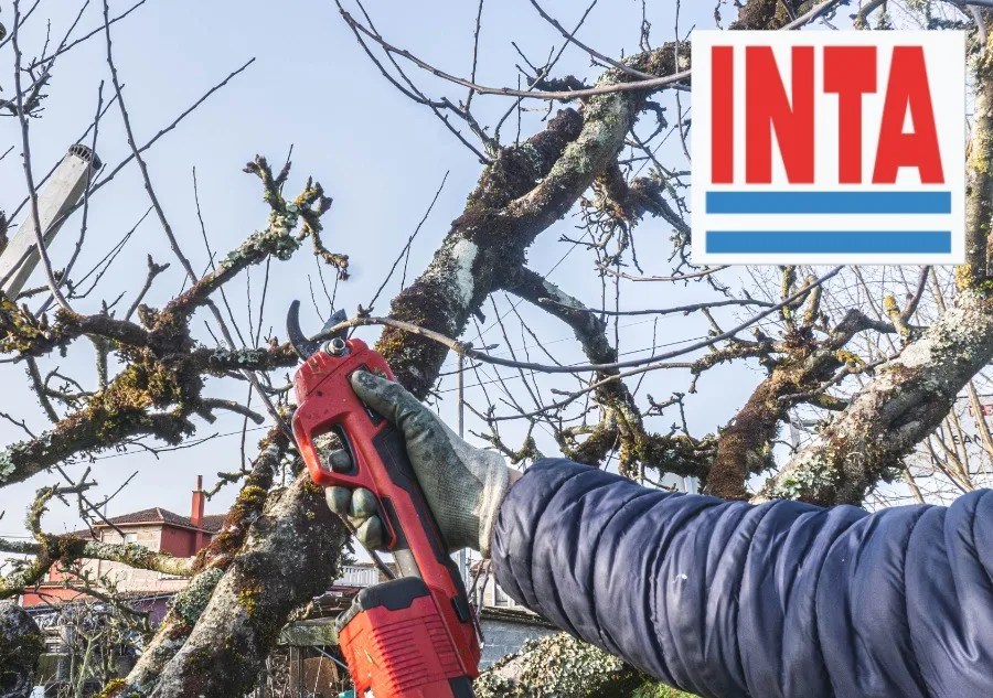 TRELEW ABRE INSCRIPCIONES PARA UN TALLER DE PODA DE ARBOLADO&nbsp;URBANO