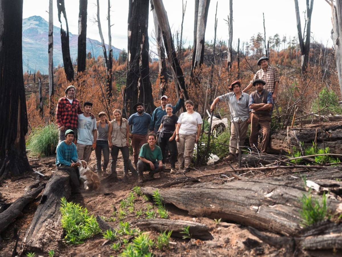 EXITOSA CAMPAÑA DE RESTAURACIÓN DE BOSQUE NATIVO EN CHUBUT: PLANTARON 20.000 ÁRBOLES EN RÍO&nbsp;TURBIO