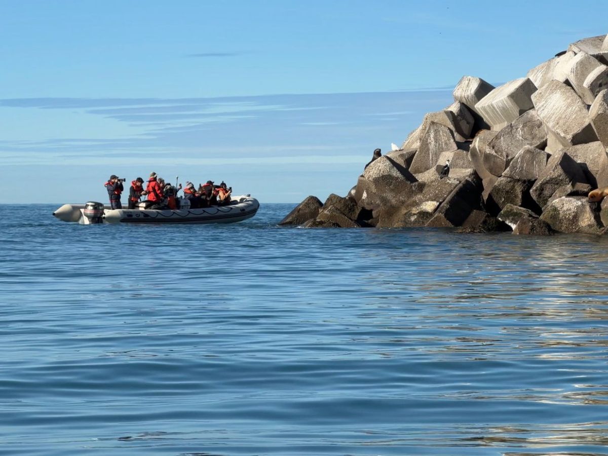 CHUBUT IMPULSA NUEVAS EXPERIENCIAS DE TURISMO DE NATURALEZA CON FAUNA MARINA EN COMODORO&nbsp;RIVADAVIA