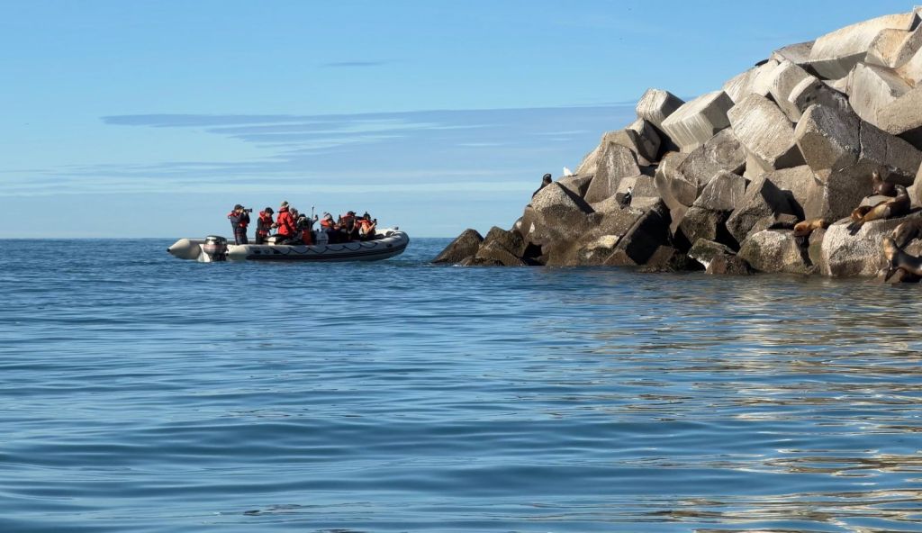 CHUBUT IMPULSA NUEVAS EXPERIENCIAS DE TURISMO DE NATURALEZA CON FAUNA MARINA EN COMODORO&nbsp;RIVADAVIA