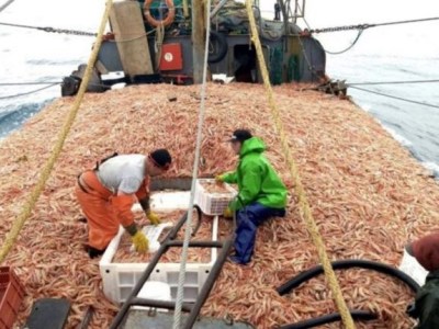 EL GOBIERNO ALCANZÓ UN ACUERDO PARITARIO CON TRABAJADORES DE PESCA PARA FORTALECER LOS SALARIOS DEL&nbsp;SECTOR