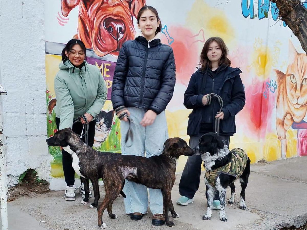 ESTUDIANTES DE BRYN GWYN CONOCIERON EL TRABAJO DIARIO DE ZOONOSIS DE&nbsp;TRELEW