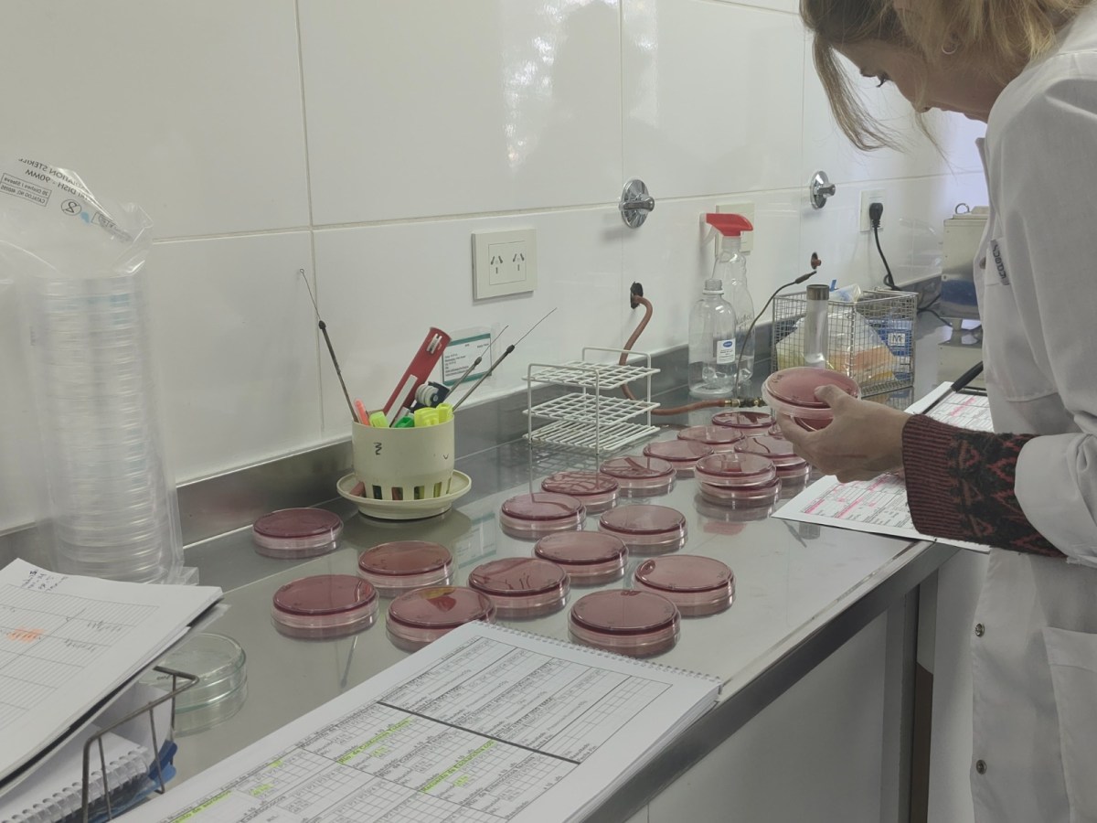 EL LABORATORIO PROVINCIAL DE SALUD AMBIENTAL PROCESA MÁS DE 10 MIL MUESTRAS AL&nbsp;AÑO