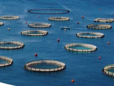Chubut será sede de una jornada nacional para promover el desarrollo sostenible de la&nbsp;acuicultura